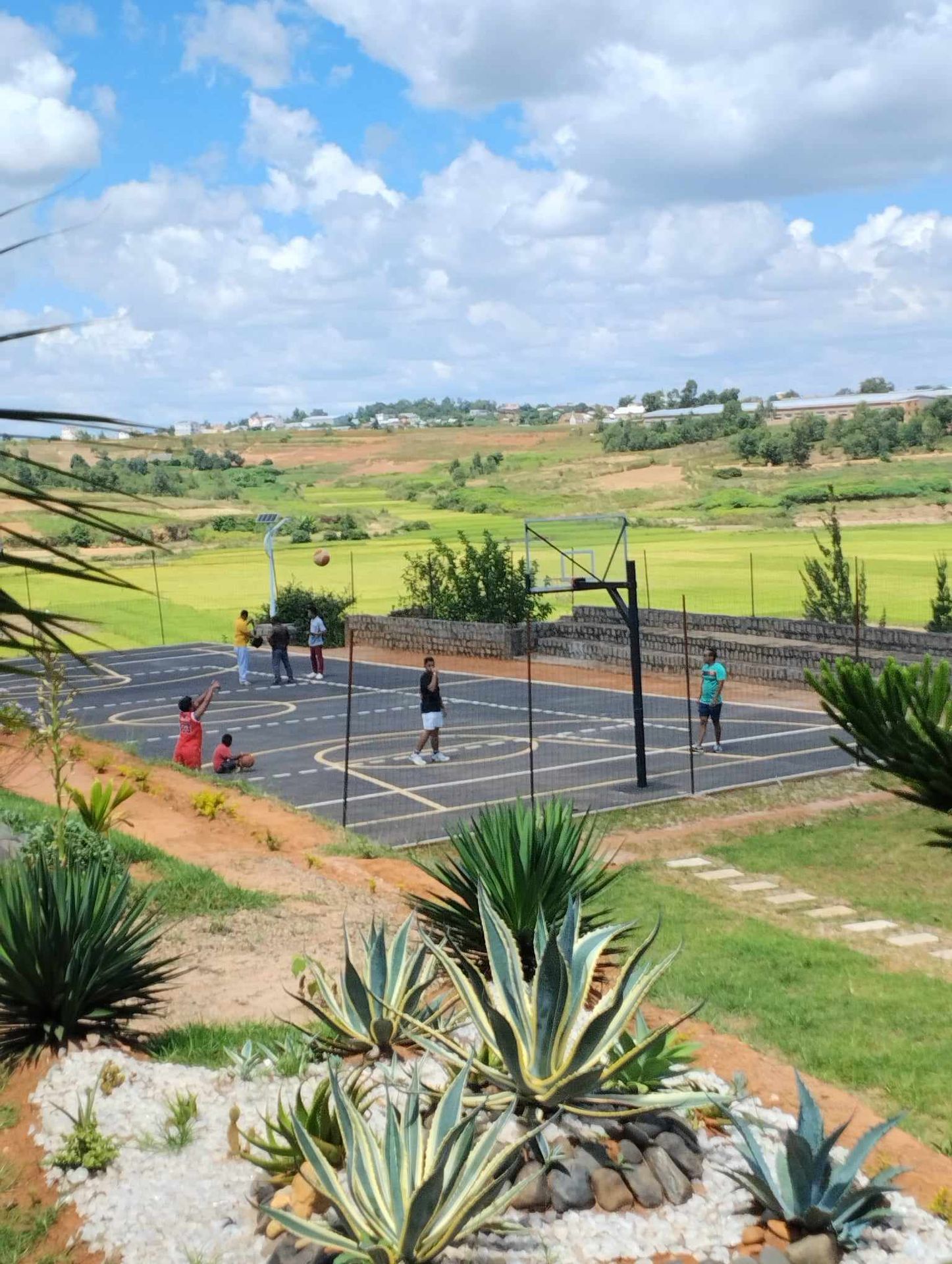 Terrain de basket